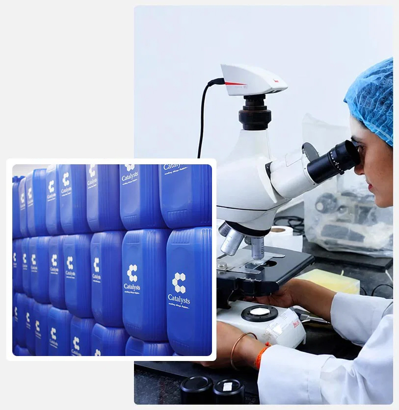 Industrial Enzyme Solutions Provider