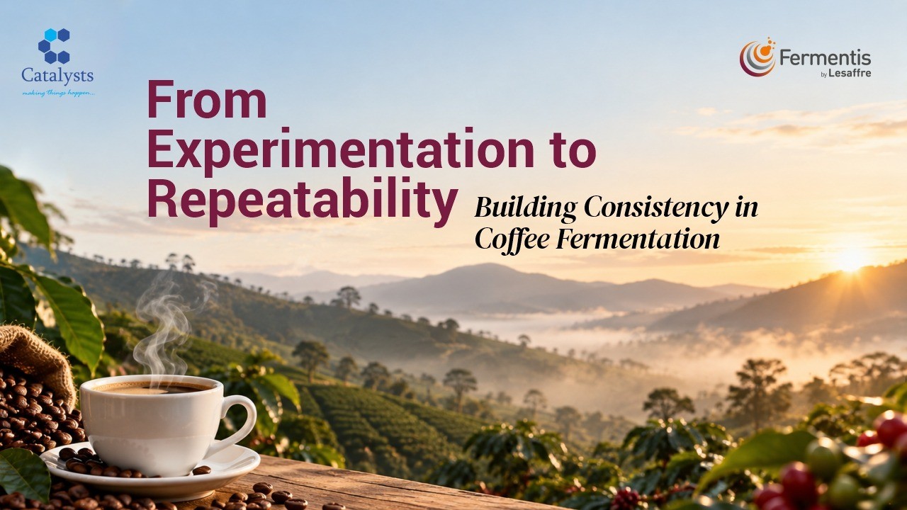 From Experimentation to Repeatability: Building Consistency in Coffee Fermentation