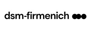 dsm-logo
