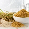 procolor-ts